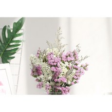 가팡 드라이플라워 DRYJ018, 15번