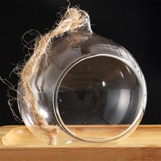 투유샵 테라리움볼 5쌍 다육이화분, 8cm