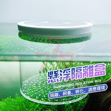 懸浮式魚缸隔離盒 孵化盒 水族箱隔離盒, 1個