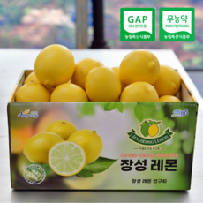 [무농약+GAP] 장성군 청레몬 그린레몬 2kg 3kg 5kg, 1박스, 3kg (무농약 청레몬)