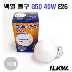 일광전구 G50 220V 40W E26 불투명 장식용램프 50m*75mm 램프10개, 전구색, 10개