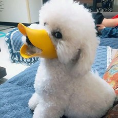 臺南出貨 狗狗嘴套寵物防咬防狗叫口罩狗嘴套防叫止吠器寵物泰迪鴨嘴套用品, 粉色+慘叫雞,M-中型（建議5-9kg）, 1個