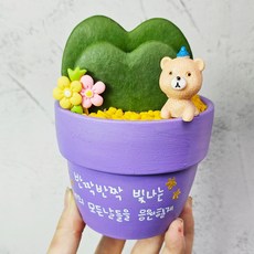 와이키키농장 커스텀 레터링 손글씨 주문 제작 응원 축하 선인장 반려 식물 선물, 컬러하트호야(1촉), 1개