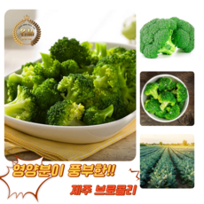 [굿피플] 브로콜리 국산브로컬리 broccoli 야채 브러컬리 브로컬리[브로콜리5-10개], 1박스, 3kg