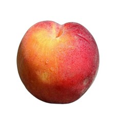 옐로우드림 망고복숭아 대용량 제철과일 이색복숭아 납짝 딱딱이 말랑이, 1개, 행사용 망고복숭아 / 2kg / 12-13과