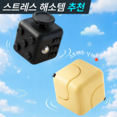 스트레스 해소 피젯큐브 스피너 2종 세트 집중력 향상 사무실 손장난감 피젯토이 스트레스 해소 키덜트 어른 손장난감