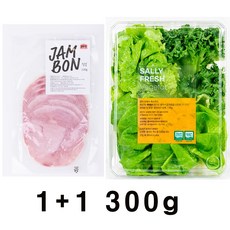 [무농약] 친환경 유러피안 샐러드 야채 180g 유럽샐러드 유럽상추, 300g, 1개