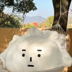 有感選物 表情餃子抱枕 靠枕 椅子腰枕, 餃子抱枕,大款40*60cm