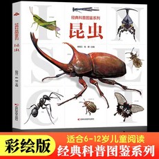 椰子圖書 經典科普圖鑑系列 昆蟲百科全書 3-6歲幼兒童小中大班昆蟲大百科, 經典科普圖鑑-昆蟲