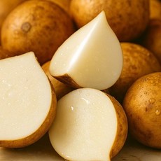 [프리미엄] 갓수확 히카마 멕시코감자 슈퍼푸드 저칼로리 뿌리채소, 1박스, 2.5kg