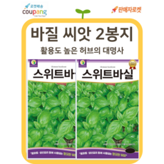 씨드림몰 바질 씨앗 3g 스위트 허브 종자 텃밭 주말농장, 2개