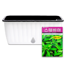 라운드오프 간단한 저면관수 텃밭화분 set, 텃밭화분+스테비아