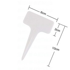 植物標籤 花卉標籤 園藝標籤 多肉標籤 蕨類標籤, 白色