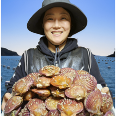[상위1%] 생산자 직송 통영 제철 홍가리비 석화 가리비세트, 1세트, 3kg(홍가리비)