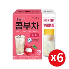 다농원 데일리 콤부차 리치, 5g, 20개입, 6개