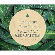 MORNEN AROMATHERAPY 藍膠尤加利精油, 1個
