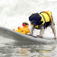 강아지목줄 여름 구명조끼 애견 반려견 물놀이 안전_ 20275423ea, 4-애견구명조끼-분홍S