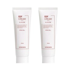 공스킨 저자극 주름개선 탄력증진 줄기세포 EGF 올인원 크림, 2개, 100ml