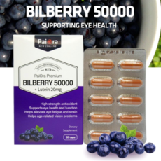 뉴질랜드 프리미엄 빌베리+루테인 50000mg 루테인 20mg 60캡슐 밀크씨슬 베타카로틴 아연, 60정, 1박스