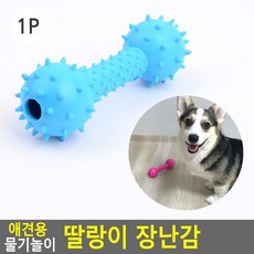 인터쇼퍼 반려견장난감방울볼 실내용