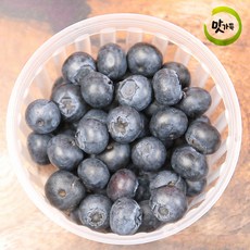 맛가득 프리미엄 칠레산 생블루베리 100 200 400 500 800 1000g, 1개