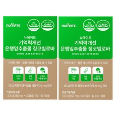 뉴메이트 기억력개선 은행잎추출물 징코빌로바 (2박스2개월분), 30정