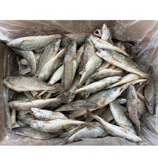힘찬푸드 냉동 몽실민어조기 뾰쪽고기 영상가이석태 믹스사이즈 약 80~100마리전후, 1박스, 믹스 (약80~100마리전후)