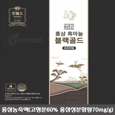 진웰스 일화 6년근 블랙골드 프리미엄 고려 홍삼농축액 흑마늘 부모님 지인 선물세트, 30개, 70ml