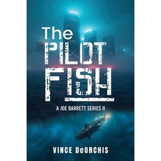 (영문도서)A Joe Barrett Series: A Joe Barrett Series II Paperback, Vince Deorchis, English, 9798892284974