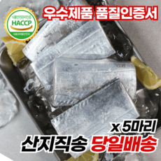 안군농원 산지직송 제주 은갈치 5마리 냉동, 1개, 제주 은갈치 5마리 (중)