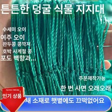 두우둥 애플수박지지대 덩굴 호박 토마토 사각 오이, 1개, 60줄 20cm 5m x 50m