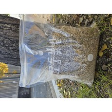 세척 마사토 소포장 대포장 김해마사 소립, 5kg, 1개