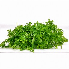 싱싱한 차빌 10g 1팩 챠빌 처빌 허브생잎, 1개