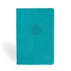 (英文圖書)NASB Giant Print Reference Bible Teal Leathertouch Imitation Leather, Holman Bible Publishers, 英文, 人造皮革