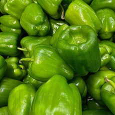 농가특가 산지직송 못난이 청파프리카, 1개, 3kg 내외