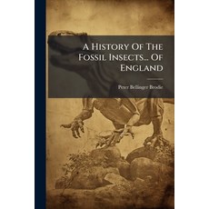 (영문도서)A History Of The Fossil Insects... Of England Paperback, Nabu Press, English, 9781179840758