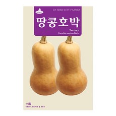 세인화분 땅콩호박씨앗 10립 호박 채소 씨 호박씨앗 땅콩호박 씨앗, 1개