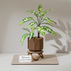 紙模型紙雕：紙植栽雷射材料包 DIY手作擺飾 裝飾壓克力, 1個, 迷彩粗勒草 9028412