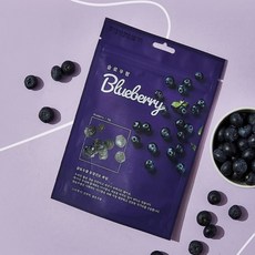 슬로우팜 과일 동결건조 강아지간식, 1개, 15g, 블루베리
