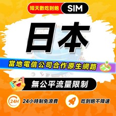 飛網科技 日本SIM卡 無公平流量原則 吃到飽不降速, 1個, 3天,日本