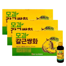 익수제약 모과갈근쌍화 효능 갈근 쌍화 차 탕, 100ml, 1개