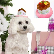 펫 생일 미니 생일케익 머리띠 담아보리 생일파티용품 케이크