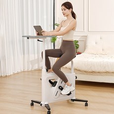 접이식 실내자전거 헬스사이클 미니 스핀바이크 운동기구, 화이트