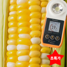 [NO마진특가] 산지직송 달콤폭발 19brix 초당옥수수, 1박스, 5개