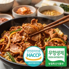 자고로 무항생제 1등급 국내산 생 오리주물럭 고추장불고기, 2개, 1kg
