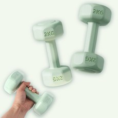 위아더 여성용 육각 아령 2kg 2개 그린 홈짐