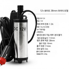 차량용 전동 소형 이동식 보충기 12V 24V 고출력 호스 포함, 단일 모델, 12v 화이트 38mm 휘발유 펌프 시가잭