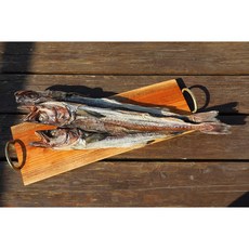통북어 특대 1마리 개업식 자동차고사용 재수용, 1개, 1미