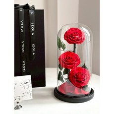 小王子永生花鐘罩系列-三朵紅玫瑰 永生花禮品 居家裝飾 浪漫禮物, 三朵玫瑰, 紅