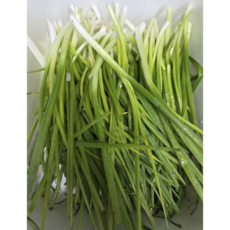 [당일손질] 산지직송 쪽파 깐쪽파 잔파 실파 포항, 1개, 1kg